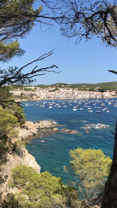 The Golden Oak In Calella Centre - 100M From Beach Palafrugell Eksteriør billede